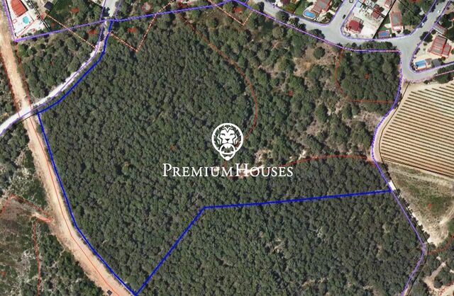 Rustic Land for Sale in Moja
